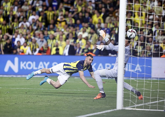 得了满分 得了满分