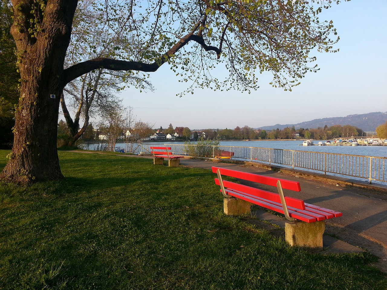 让他在赛场 让他在赛场